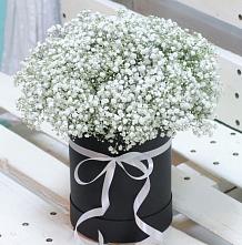 Цветочная композиция из Гипсофила в шляпной коробке #REPLACE_PRED# совхозе им. Ленина